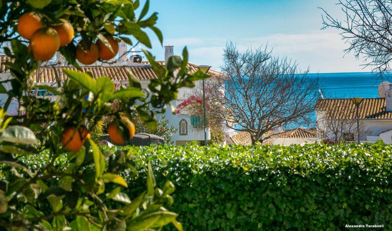 C12 - Sunshine Apartment In Luz Luaran gambar